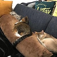 ユアサ 抱きクッション（直径25×90cm）ブラウンYUASA あったか電気抱きクッション「だくっしょん」 YSC-DC90V z2zed1b ユアサ 抱きクッション（直径25×90cm）ブラウンYUASA あったか